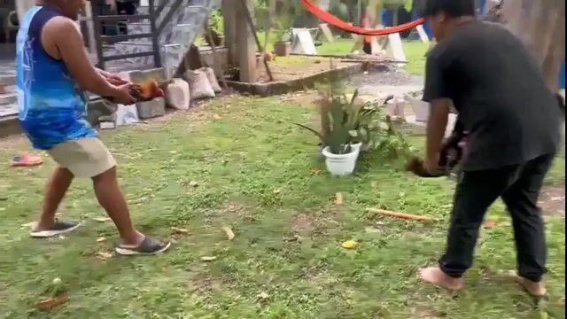 Video from Beerbogsgf's post