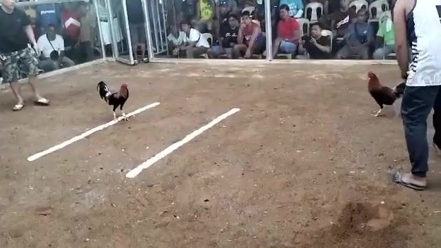 Video from GK BOYZ LGF's post
