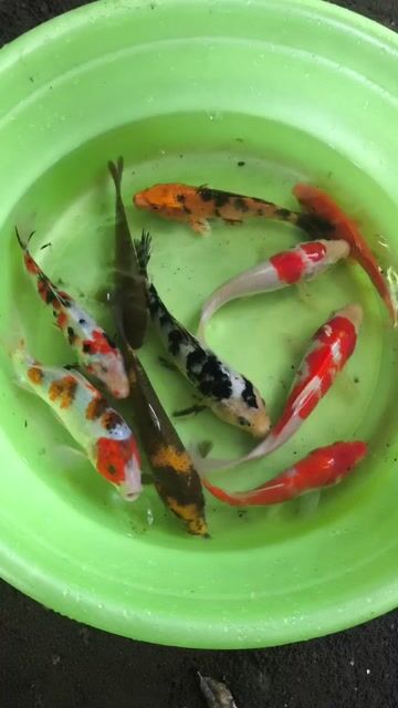 Video from John Clark Samparada's post