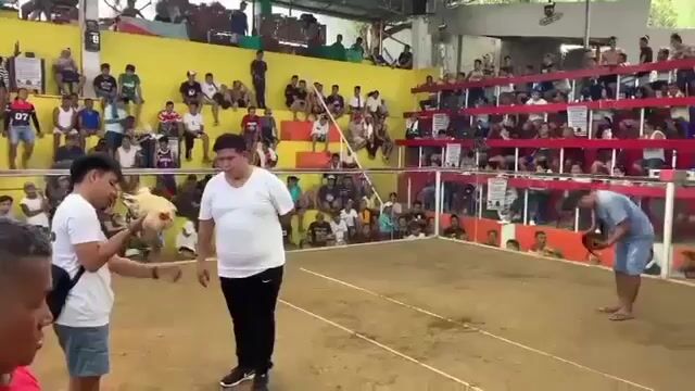 Video from B.BROS 27's post