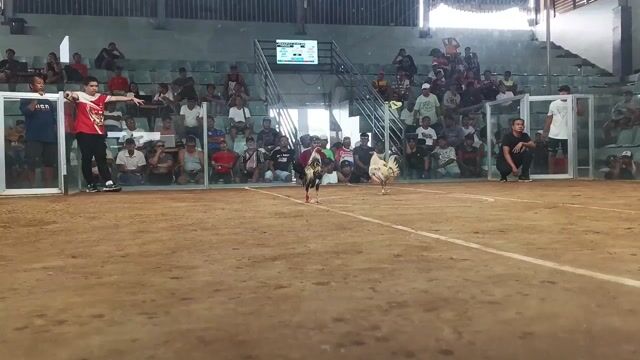 Video from Erol Ferrer's post