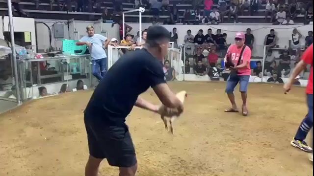 Video from RAPTOR's post