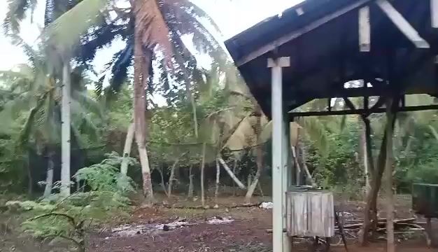 Video from Richard Donald San Diego's post
