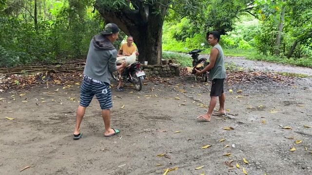Video from marc guingab's post