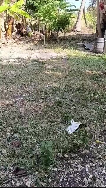 Video from Centfred Conde's post