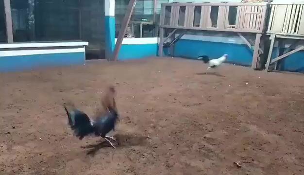 Video from Kevin A. Cabutihan's post