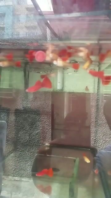 Video from Marvin Ayalde's post