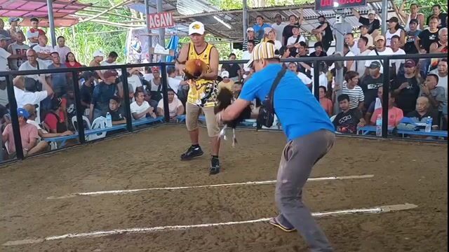 Video from Marco Polo's post