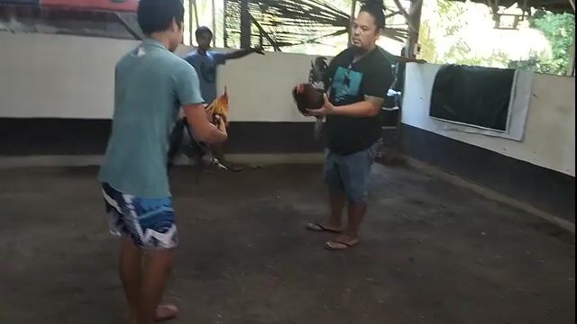 Video from Reign Diez's post