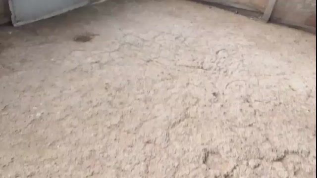 Video from Albin Mendoza's post