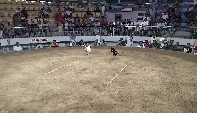 Video from Joennie Gomez's post