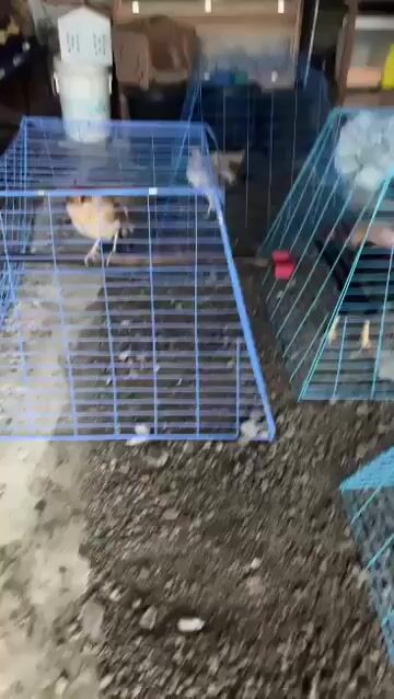 Video from Mark Evans Fernandez's post