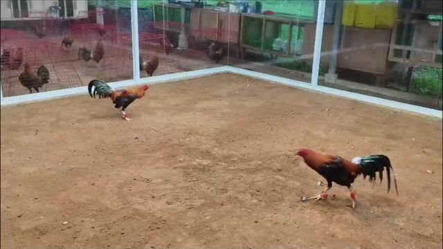 Video from Engr. Ronald Alba's post