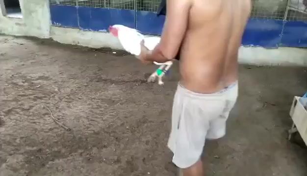 Video from Starcey GameFarm's post