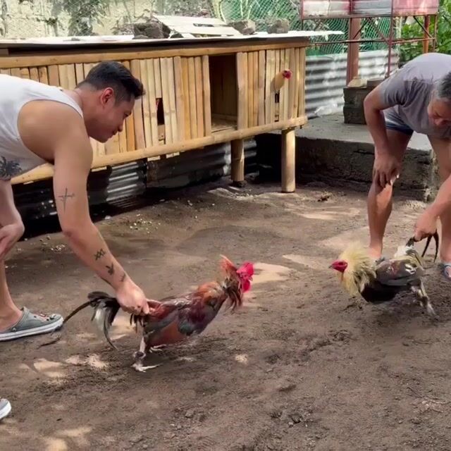Video from Mark Lordwin Lacuata's post