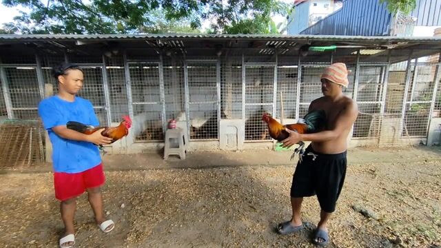 Video from Bogs estardo's post