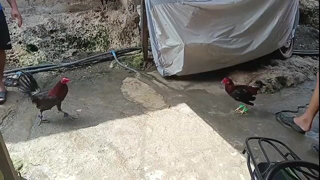 Video from Oliver Piañar Demecillo's post