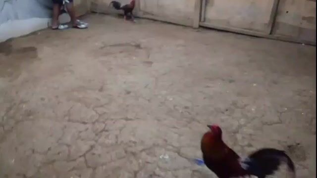 Video from Albin Mendoza's post