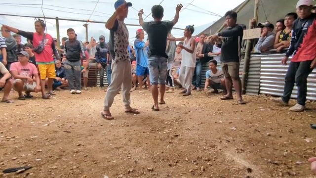 Video from Pol Perpo's post