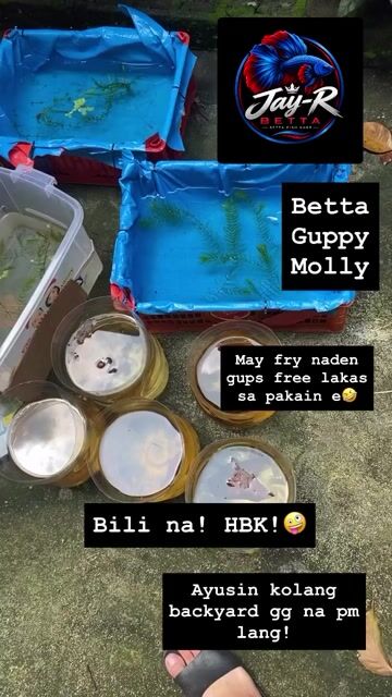 Video from Rolando Buenaventura's post