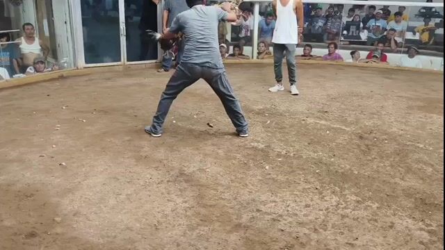 Video from TwoOne Gamefowl's post