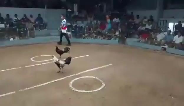 Video from Chary Cabesas's post