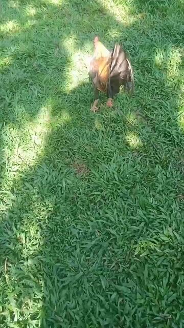 Video from QuEdDaMe Gf's post