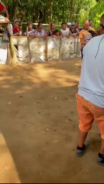 Video from Reign Diez's post
