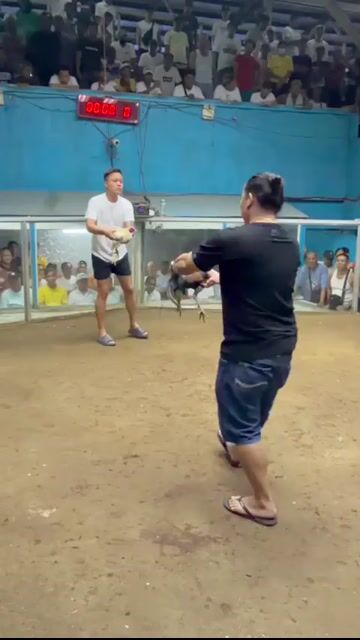 Video from Ydolo Backyard's post