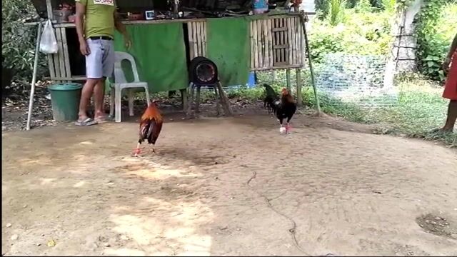 Video from GK BOYZ LGF's post