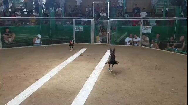 Video from Angat Sarado's post