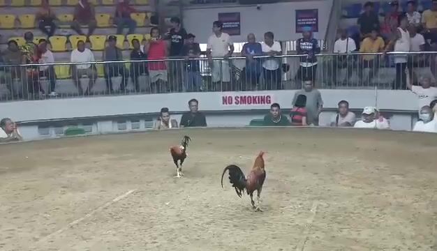 Video from Angat Sarado's post