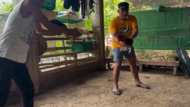 Video from EDU VELASCO's post