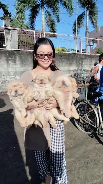 Video from Tita A's post