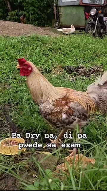 Video from Edmar R. Anlap's post