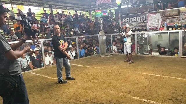 Video from Sakiee's post