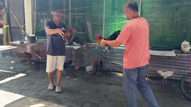 Video from Eldrich Morales's post