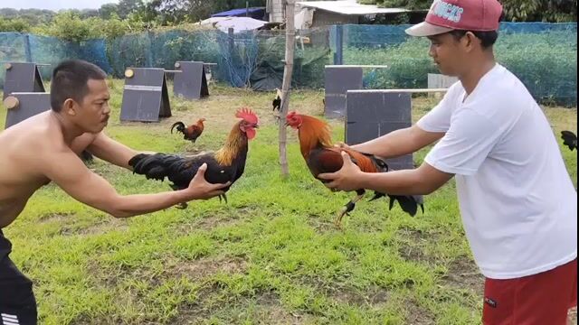 Video from Bogs estardo's post