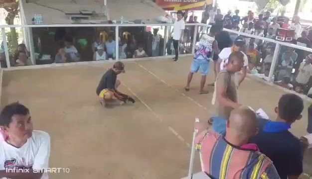 Video from JMV818 GAMEFARM's post