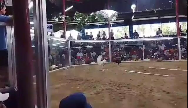Video from JjfireJ Gameyard's post