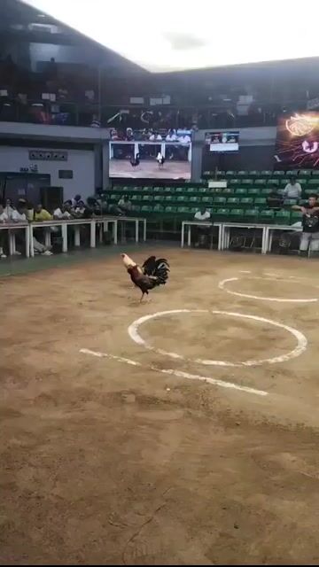 Video from Michael Sabales's post