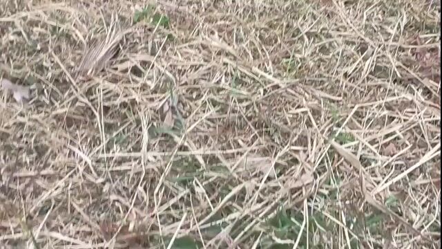 Video from Kert John Michael Lanojan's post
