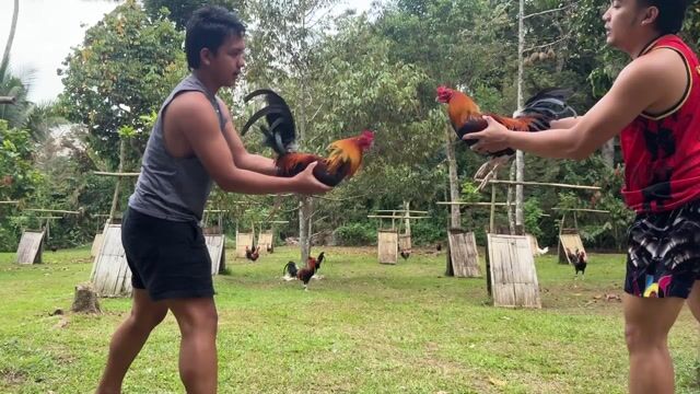 Video from Adrian Soliman's post