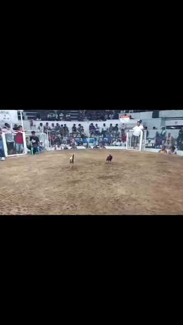 Video from JT Red Dragon Gamefarm's post