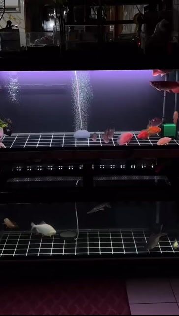 Video from Lucky Ocampo's post