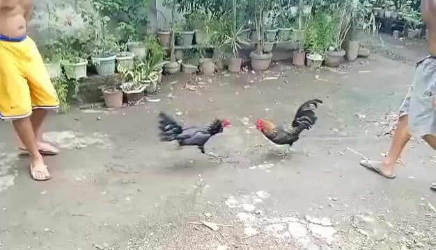 Video from Clyde Retorca's post