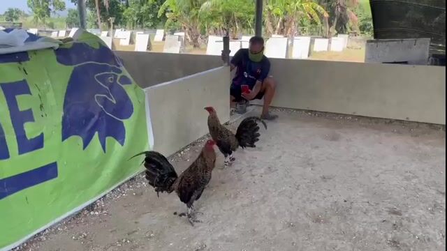 Video from Jason Castro's post