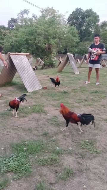 Video from Moksha Marie Cabrera's post