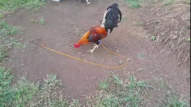 Video from Rodel NERIC's post