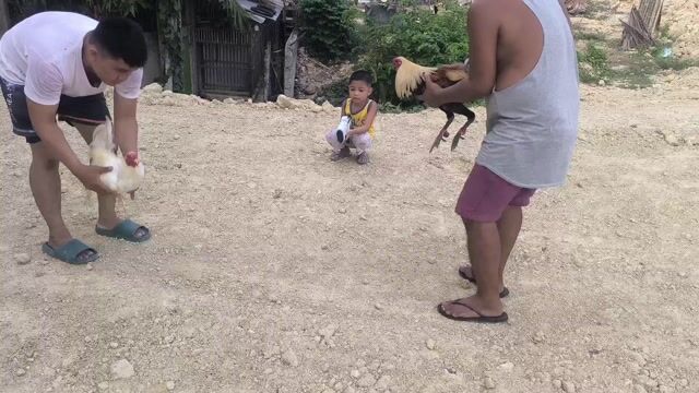 Video from ElectraBackyard's post